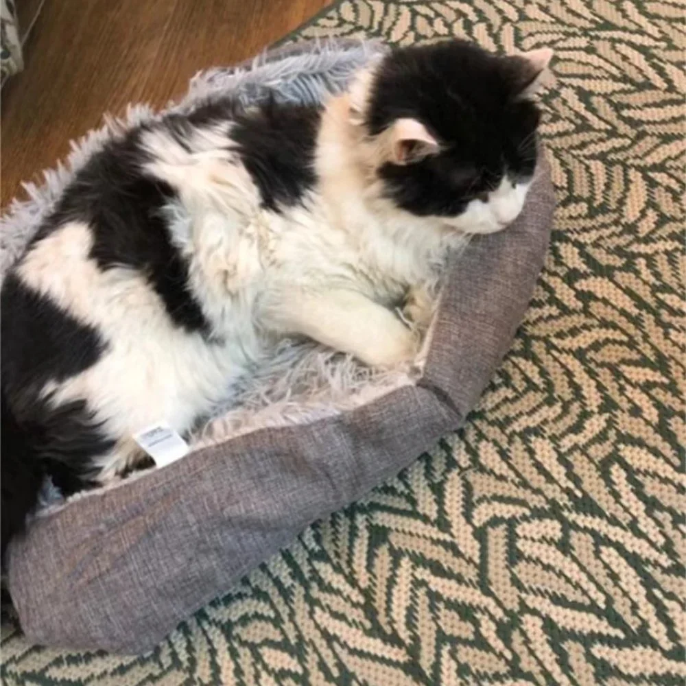 Folding Cat Bed House 2 in 1 Super softy winter Bed